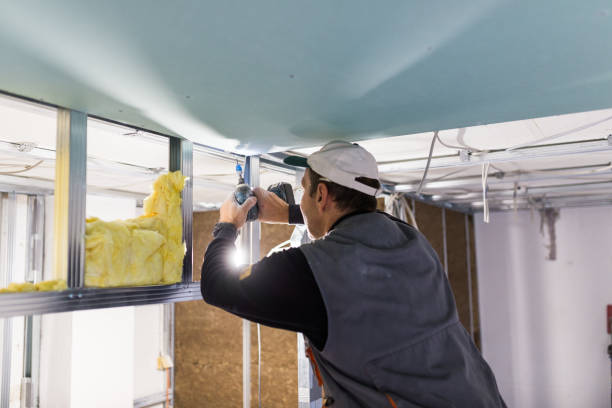 Best Insulation Replacement Services  in Pike Creek, DE