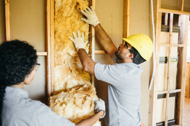 Best Fiberglass Insulation  in Pike Creek, DE