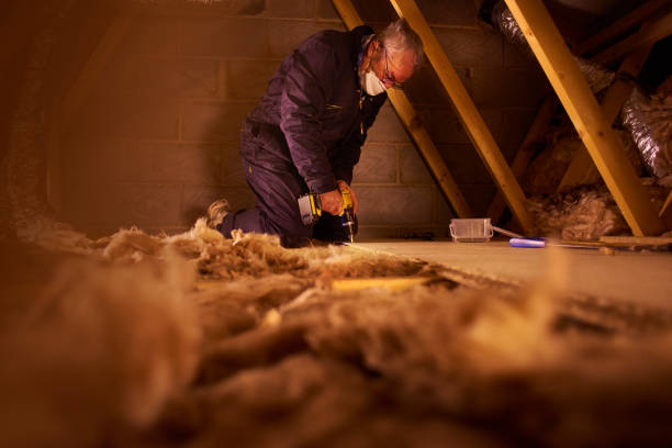 Best Professional Insulation Contractor  in Pike Creek, DE